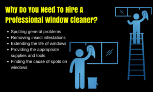 Professional-window-cleaner